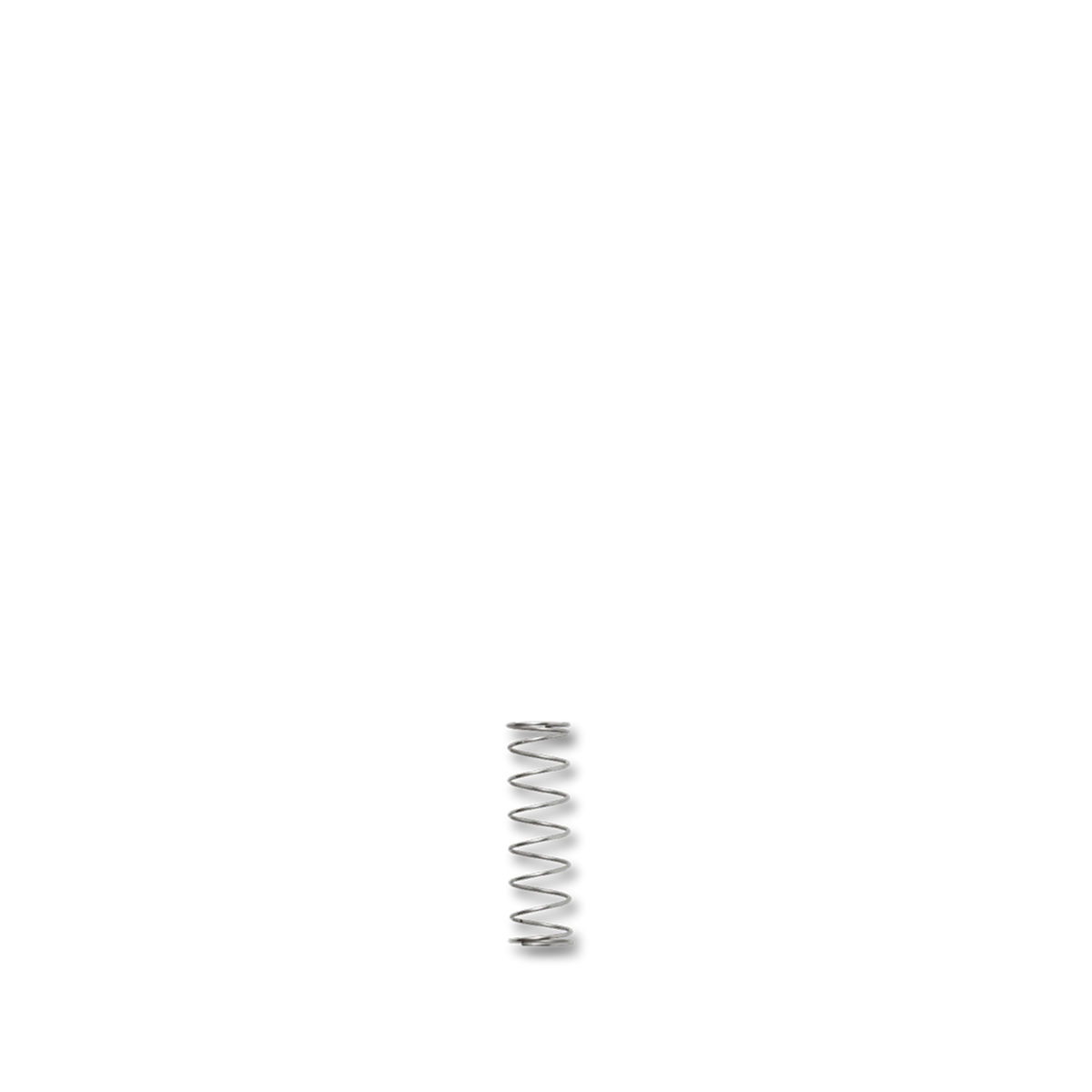 730750_Spring_NonReturnValve_1