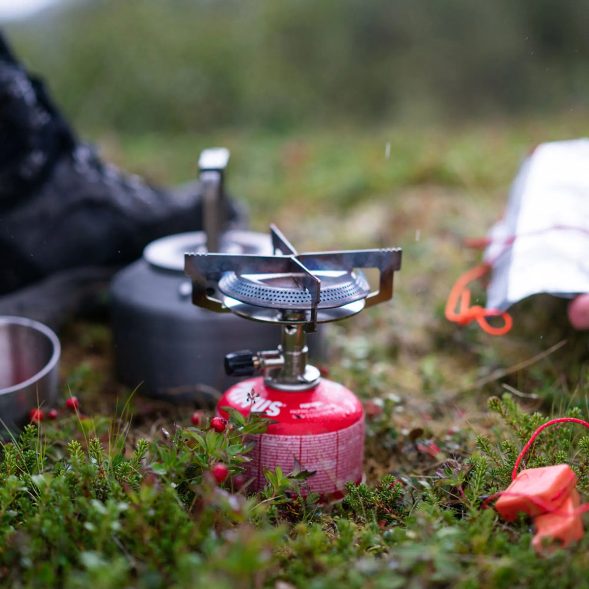 P224394_Mimer-stove_lisalowenborg_2023-2
