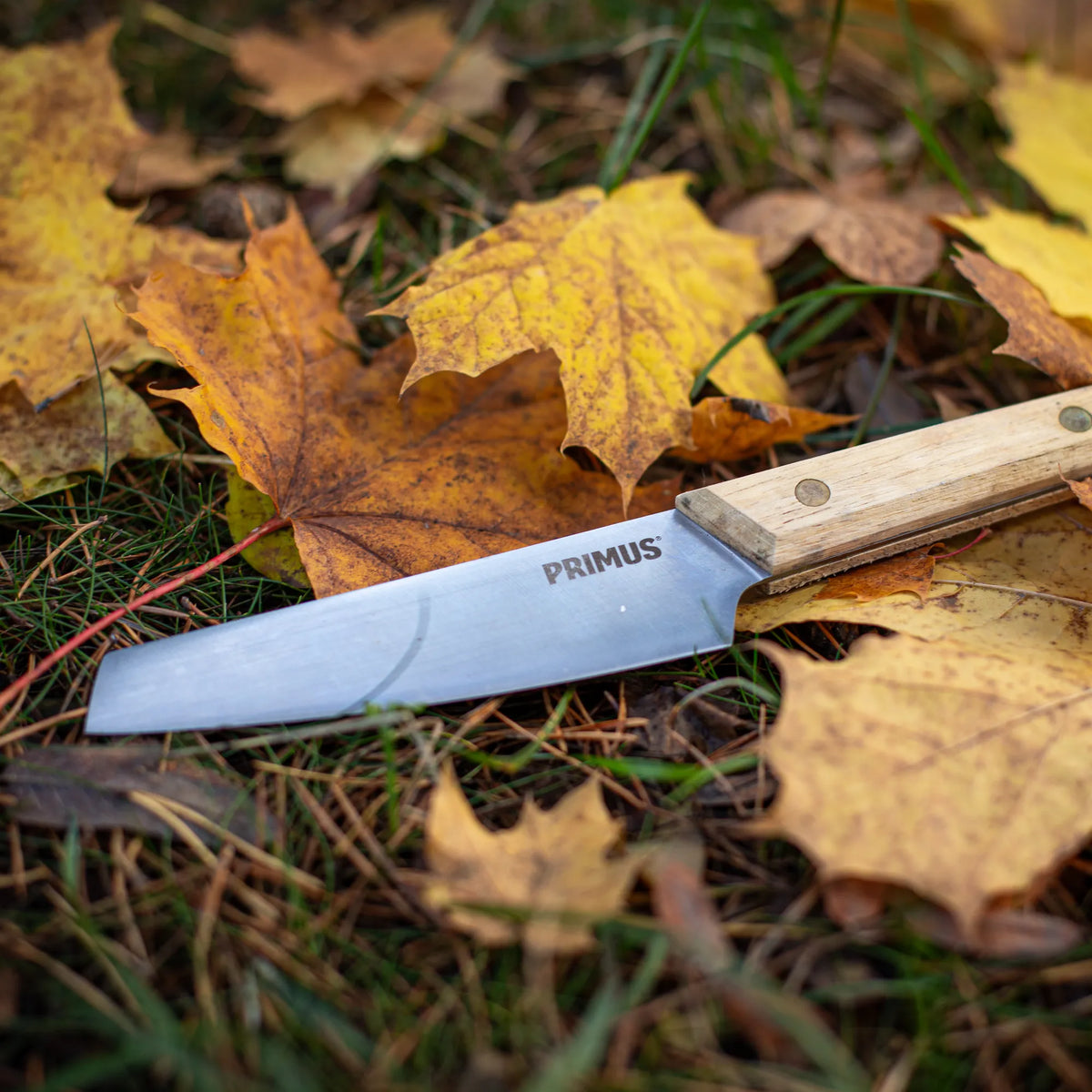 P738009_campfire-knife_stina-hjelm_2019-03