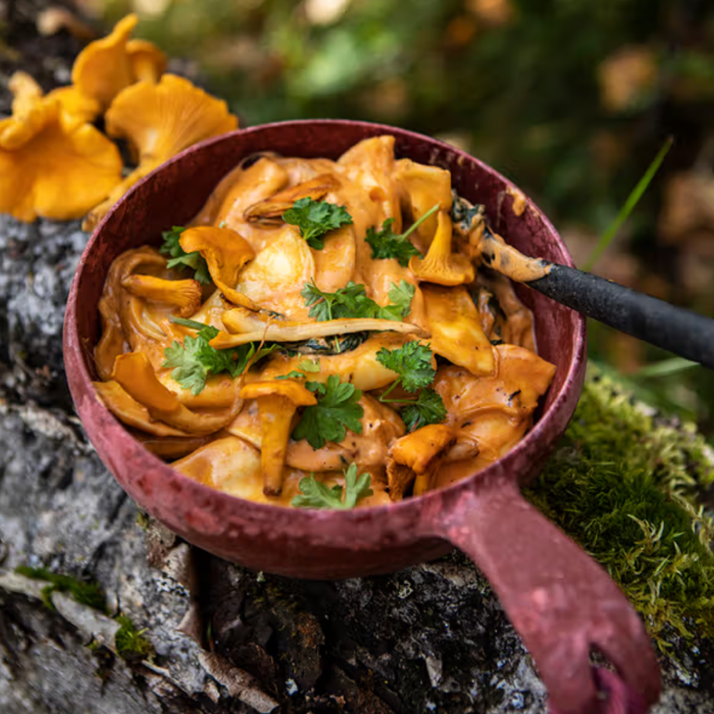 Mushroom ravioli in creamy chanterelle and pesto sauce