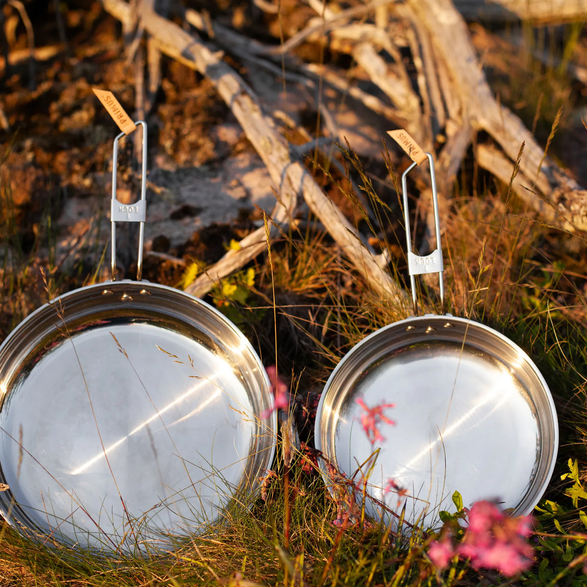 P738000_campfire-fryingpan_lisa-lowenborg_2016-1